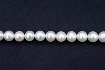 White Round 8-8.5mm AA Grade Pearls > White