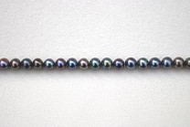 Peacock Round 4.5-5mm AA Grade Pearls > Peacock