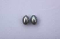 Silver Grey Drop 7-7.5mm AAA Grade Pearls > Colours